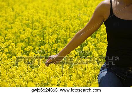 Mid section view of a young woman touching flowers View Large Photo Image Stock Image - Mid section view of a young woman touching flowers. Fotosearch
