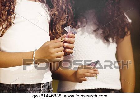 Mid section view of two sisters holding a flower View Large Photo Image Stock Photo - Mid section view of two sisters holding a flower. Fotosearch
