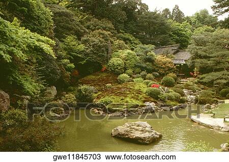 Pond in a garden, Katsura Imperial Villa, Kyoto, Japan View Large Photo Image Stock Image - Pond in a garden, Katsura Imperial Villa, Kyoto, Japan. Fotosearch