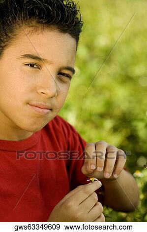 Portrait of a boy holding a wildflower View Large Photo Image Stock Photo - Portrait of a boy holding a wildflower. Fotosearch