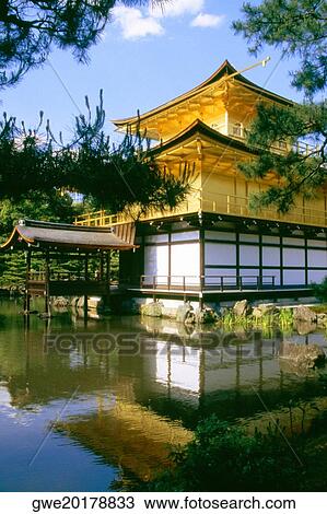 Reflection of a temple in water, Kinkaku-Ji Temple, Kyoto, Japan View Large Photo Image Stock Image - Reflection of a temple in water, Kinkaku-Ji Temple, Kyoto, Japan. Fotosearch
