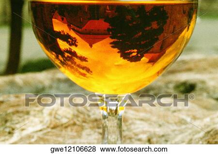 Stock Photo - Reflection of trees on a wineglass, Otaru, Hokkaido, Japan. Fotosearch