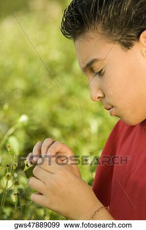 Side profile of a boy holding a wildflower View Large Photo Image Stock Photo - Side profile of a boy holding a wildflower. Fotosearch