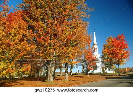 Stock Photography - Trees in front of a church, Lunenberg, Vermont, USA. Fotosearch
