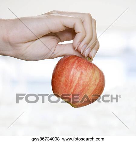 Woman's hand holding an apple View Large Photo Image Stock Photo - Woman's hand holding an apple. Fotosearch