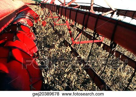 Close-up of a thresher View Large Photo Image Stock Photo - Close-up of a thresher. Fotosearch