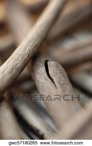 Close-up of sticks View Large Photo Image Stock Photography - Close-up of sticks. Fotosearch