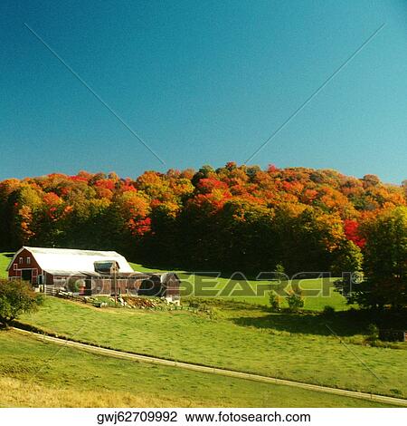 Stock Image - Farmhouse on a landscape. Fotosearch