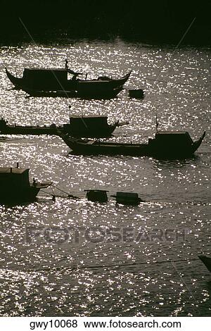 Fishing boats in the Saigon River Delta, Vietnam View Large Photo Image Stock Photo - Fishing boats in the Saigon River Delta, Vietnam. Fotosearch