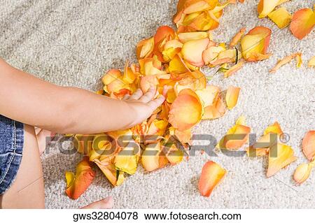 High angle view of a boy picking rose petals View Large Photo Image Stock Photo - High angle view of a boy picking rose petals. Fotosearch