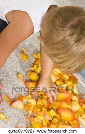 High angle view of a boy picking rose petals View Large Photo Image Stock Photo - High angle view of a boy picking rose petals. Fotosearch