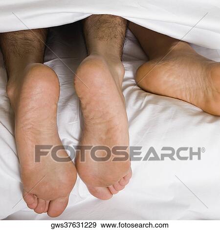Stock Photo - High angle view of a couple's feet under the sheets of a bed. Fotosearch