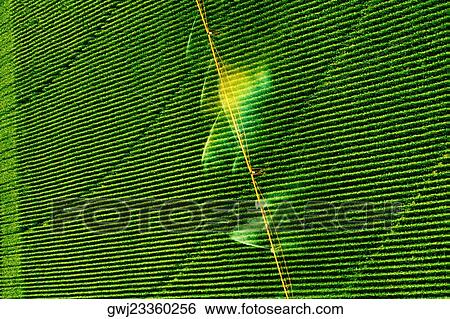 High angle view of sprinklers spraying water on a field View Large Photo Image Stock Photograph - High angle view of sprinklers spraying water on a field. Fotosearch