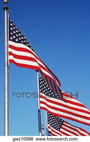 Low angle view of American flags fluttering, Washington DC, USA View Large Photo Image Stock Photo - Low angle view of American flags fluttering, Washington DC, USA. Fotosearch