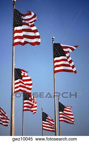 Stock Photography - Low angle view of American flags fluttering, Washington DC, USA. Fotosearch