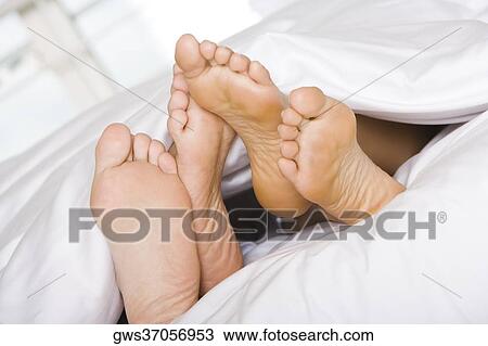 Low section view of the feet of two people on a bed View Large Photo Image Stock Image - Low section view of the feet of two people on a bed. Fotosearch