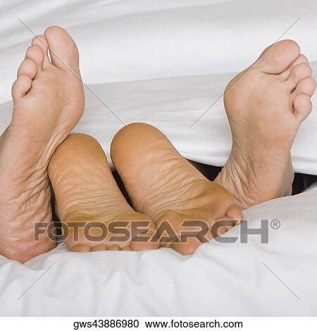 Low section view of the feet of two people on a bed View Large Photo Image Stock Image - Low section view of the feet of two people on a bed. Fotosearch
