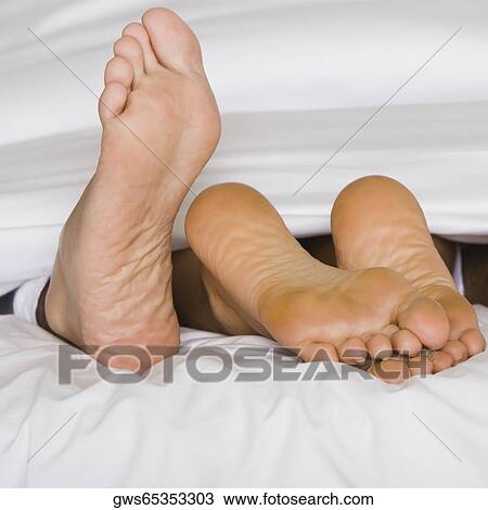 Low section view of the feet of two people on a bed View Large Photo Image Stock Image - Low section view of the feet of two people on a bed. Fotosearch