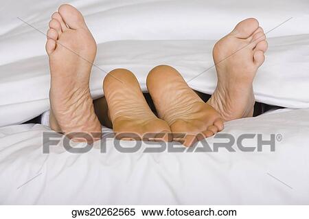 Low section view of the feet of two people on a bed View Large Photo Image Stock Photography - Low section view of the feet of two people on a bed. Fotosearch
