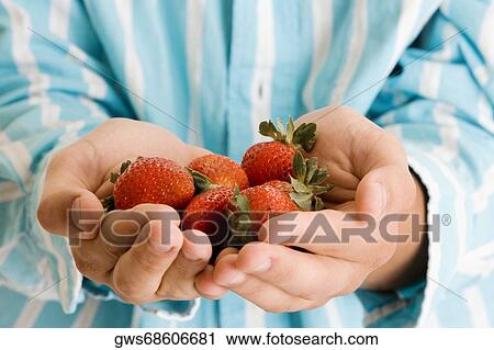Mid section view of a man holding strawberries View Large Photo Image Stock Image - Mid section view of a man holding strawberries. Fotosearch