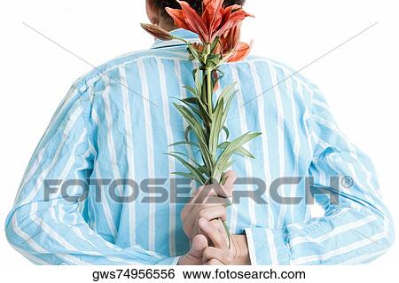 Rear view of a young man hiding flowers behind his back View Large Photo Image Stock Photograph - Rear view of a young man hiding flowers behind his back. Fotosearch