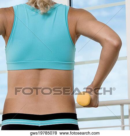 Rear view of a young woman exercising in a gym View Large Photo Image Stock Photo - Rear view of a young woman exercising in a gym. Fotosearch