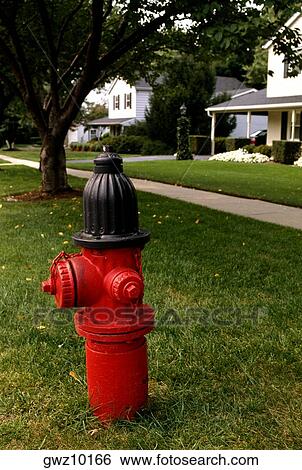 Red fire hydrant in suburban Maryland View Large Photo Image Stock Photograph - Red fire hydrant in suburban Maryland. Fotosearch