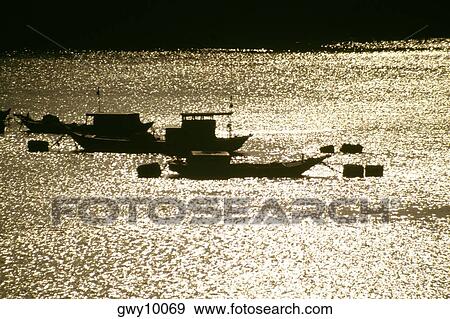 Saigon River Delta, Vietnam View Large Photo Image Stock Photo - Saigon River Delta, Vietnam. Fotosearch