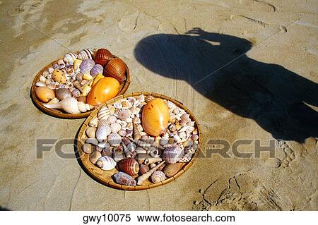 Sea shell vendors on China Beach, Danang, Vietnam View Large Photo Image Stock Photography - Sea shell vendors on China Beach, Danang, Vietnam. Fotosearch