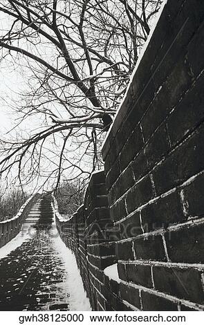 Bare trees along a stone wall, Great Wall Of China, China View Large Photo Image Stock Image - Bare trees along a stone wall, Great Wall Of China, China. Fotosearch