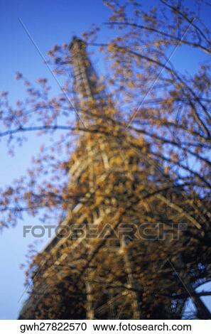 Branches of a tree in front of a tower, Eiffel Tower, Paris, France View Large Photo Image Stock Image - Branches of a tree in front of a tower, Eiffel Tower, Paris, France. Fotosearch