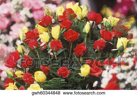Close-up of a bunch of roses View Large Photo Image Stock Photo - Close-up of a bunch of roses. Fotosearch