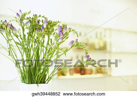 Close-up of a flower vase View Large Photo Image Stock Image - Close-up of a flower vase. Fotosearch