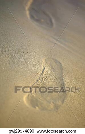 Close-up of a footprint in the sand View Large Photo Image Stock Image - Close-up of a footprint in the sand. Fotosearch