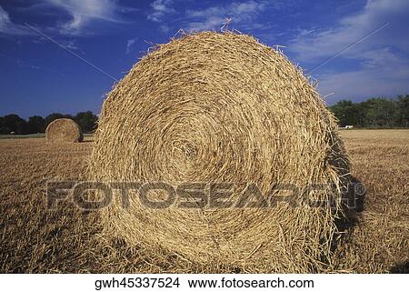 Close-up of a hay bale View Large Photo Image Picture - Close-up of a hay bale. Fotosearch