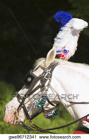 Stock Image - Close-up of a horse head. Fotosearch