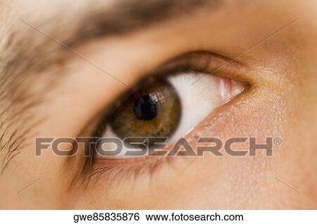 Close-up of a human eye View Large Photo Image Stock Photograph - Close-up of a human eye. Fotosearch
