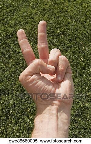 Close-up of a peace sign View Large Photo Image Stock Photography - Close-up of a peace sign. Fotosearch