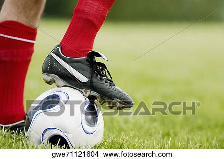Close-up of a person's foot resting on a soccer ball View Large Photo Image Picture - Close-up of a person's foot resting on a soccer ball. Fotosearch
