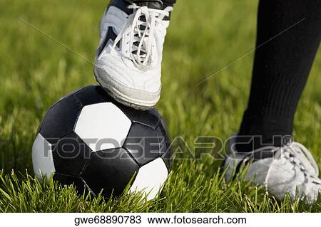 Stock Image - Close-up of a person's foot resting on a soccer ball. Fotosearch