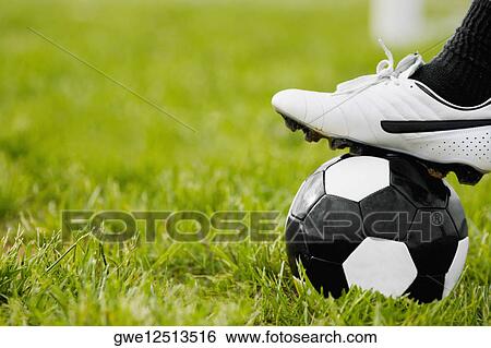 Close-up of a person's foot resting on a soccer ball View Large Photo Image Stock Photograph - Close-up of a person's foot resting on a soccer ball. Fotosearch