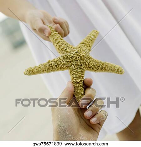 Close-up of a person's hand giving a starfish to a girl View Large Photo Image Stock Photo - Close-up of a person's hand giving a starfish to a girl. Fotosearch