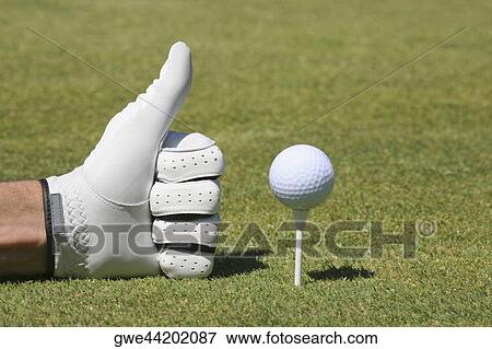 Close-up of a person's hand making a thumbs up sign next to a golf ball on a tee View Large Photo Image Stock Photo - Close-up of a person's hand making a thumbs up sign next to a golf ball on a tee. Fotosearch