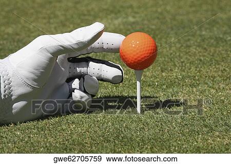 Stock Photo - Close-up of a person's hand positioning a golf ball on a golf tee. Fotosearch