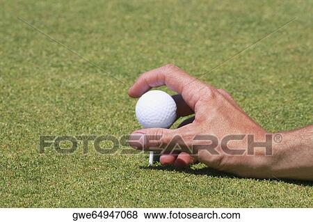 Stock Photo - Close-up of a person's hand positioning a golf ball on a golf tee. Fotosearch