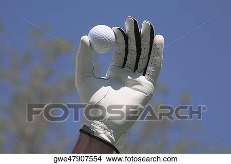 Picture - Close-up of a person's hand wearing a glove and holding a golf ball. Fotosearch