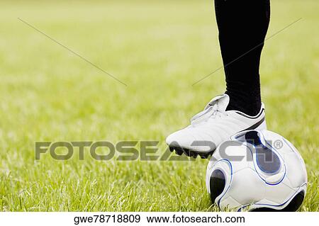 Stock Photo - Close-up of a person's leg near a soccer ball. Fotosearch