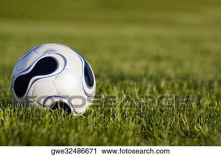 Close-up of a soccer ball on the grass View Large Photo Image Stock Image - Close-up of a soccer ball on the grass. Fotosearch