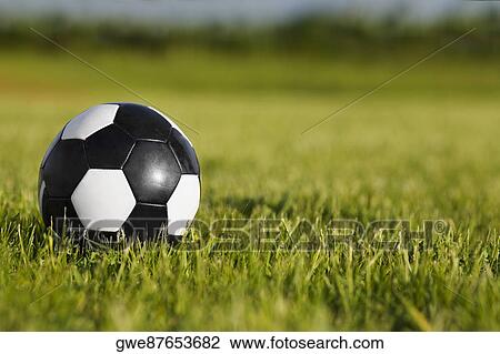 Close-up of a soccer ball on the grass View Large Photo Image Stock Image - Close-up of a soccer ball on the grass. Fotosearch