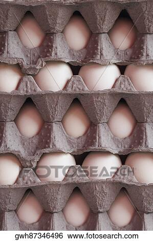 Close-up of chicken eggs in trays View Large Photo Image Stock Photograph - Close-up of chicken eggs in trays. Fotosearch